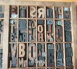 Hamilton Drawer LOT Antique Vint. Letterpress Print Blocks Letters Numbers Punct