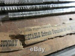 Plomb 12 Letterpress Type Pt. Pica Égyptienne Extra Condensed Boston Type Fdry D35